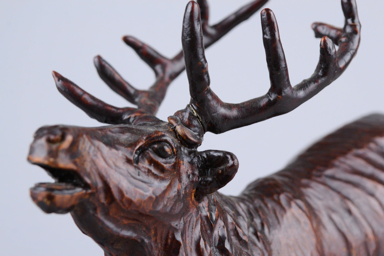 Black Forest Wooden Roaring Stag