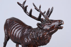 Black Forest Wooden Roaring Stag