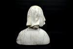 Carrara marble bust